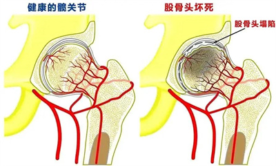 济南中德骨科02.jpg